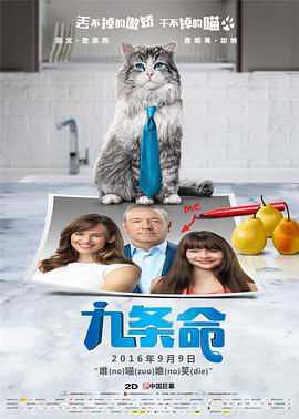 精品视频亚洲