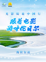 致我的陌生恋人