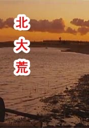 日韩美女中文字幕