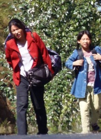 欧洲免费无线码一二区