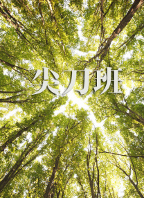 深夜a级毛片