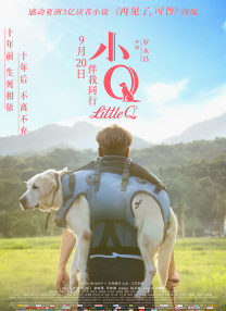 撸大师视频
