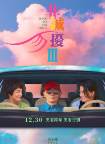 国产精品三级av